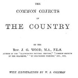 [Gutenberg 54623] • The Common Objects of the Country